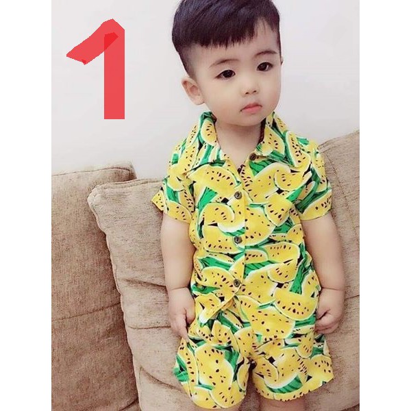 BỘ LANH HOA QUẢ Dành Cho Bé 8-25kg QATE25