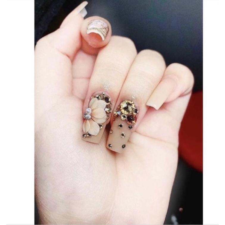 Hoa bột nửa các mẫu