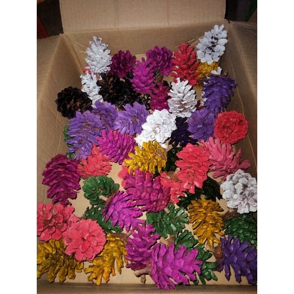 10 quả thông khô phun sơn màu