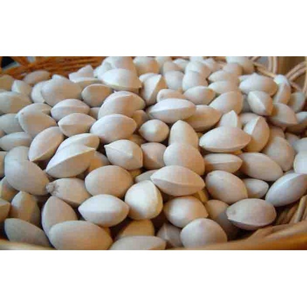 Bạch quả 1Kg