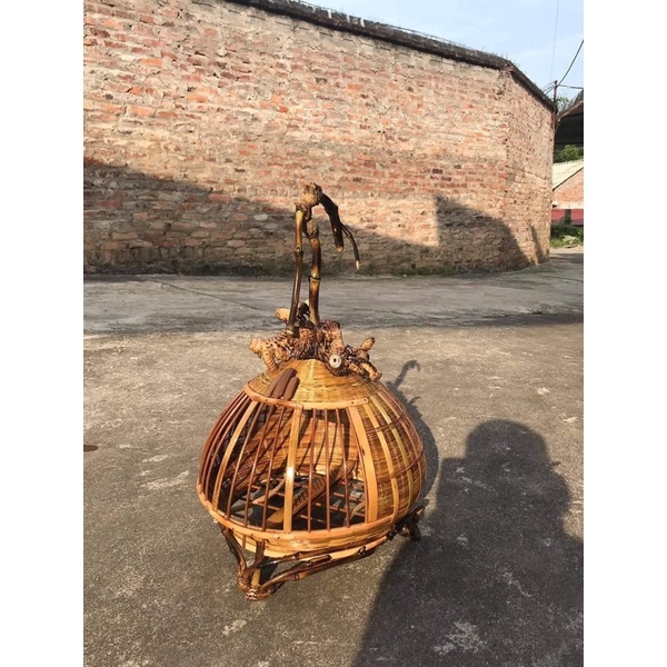 DẦU Ủ LỒNG TUẤN MI