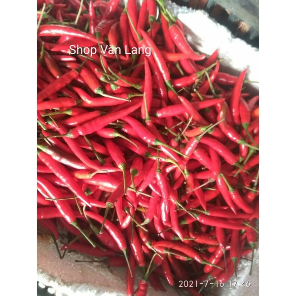 Ớt tươi chín cay thơm ngon gói 200g - ship Hà Nội