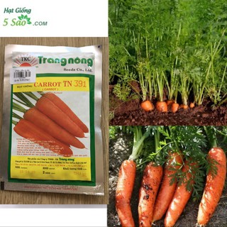 CÀ RỐT Carrot TN 391