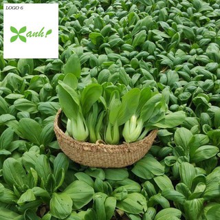 Hạt Giống Cải Chíp 100 hạt Gói nhỏ trồng thùng xốp
