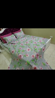 Set chăn ga gối poly