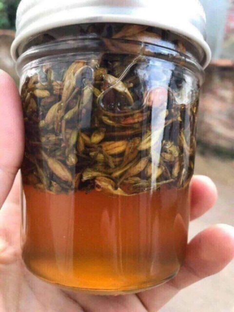Hoa Đu Đủ Đực Khô