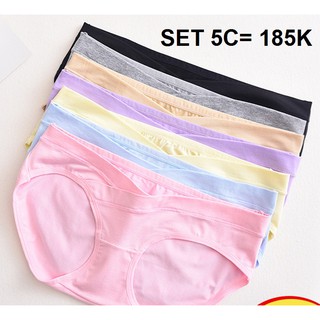 Quần chip bầu dưới bụng cotton 100% siêu mát QL01