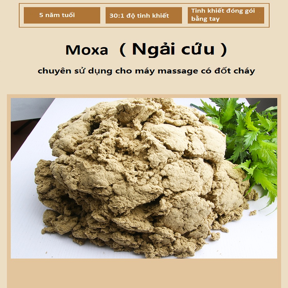 Ngải cứu -moxa-5 năm tuổi ,30:1 độ tinh khiết-1bịch 100g