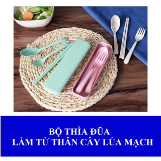 Bộ thìa kèm đũa từ thân cây lúa mạch