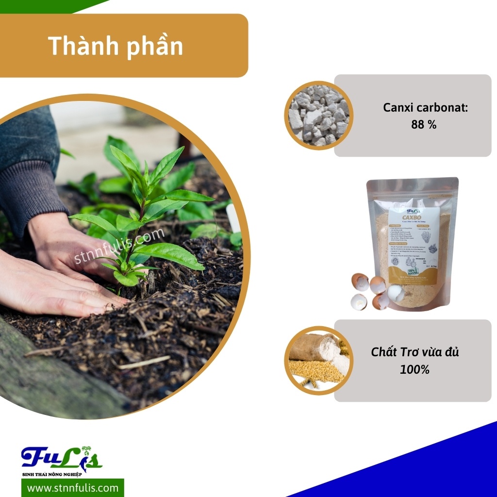 Canxi Hữu Cơ Từ Bột Vỏ Trứng CAXBO Bột Mịn Hàng Xuất Khẩu Nhật
