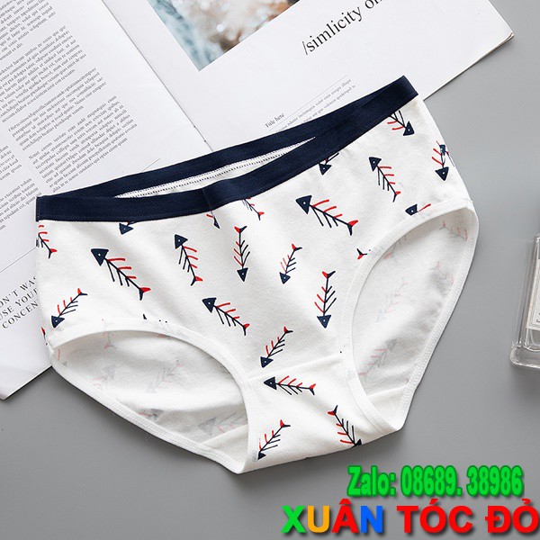 [Mã WASTDEP giảm 5K đơn bất kì] SỈ ZALO RẺ HƠN NHIỀU_ Quần Lót 5 Kiểu Gấu Ăn Cá Chỉ Còn Xương N016 | BigBuy360 - bigbuy360.vn