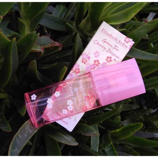 Chai nhỏ thử mùi nước hoa Elizabeth Arden Green tea cherry blossoms
