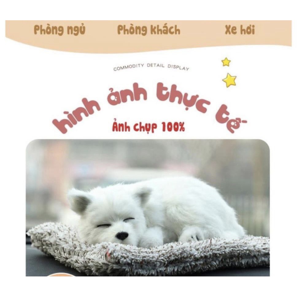 Thú bông GIỐNG THẬT 99% chó mèo sói gấu lõi than hoạt tính lọc không khí khử mùi trang trí xe hơi ô tô | BigBuy360 - bigbuy360.vn