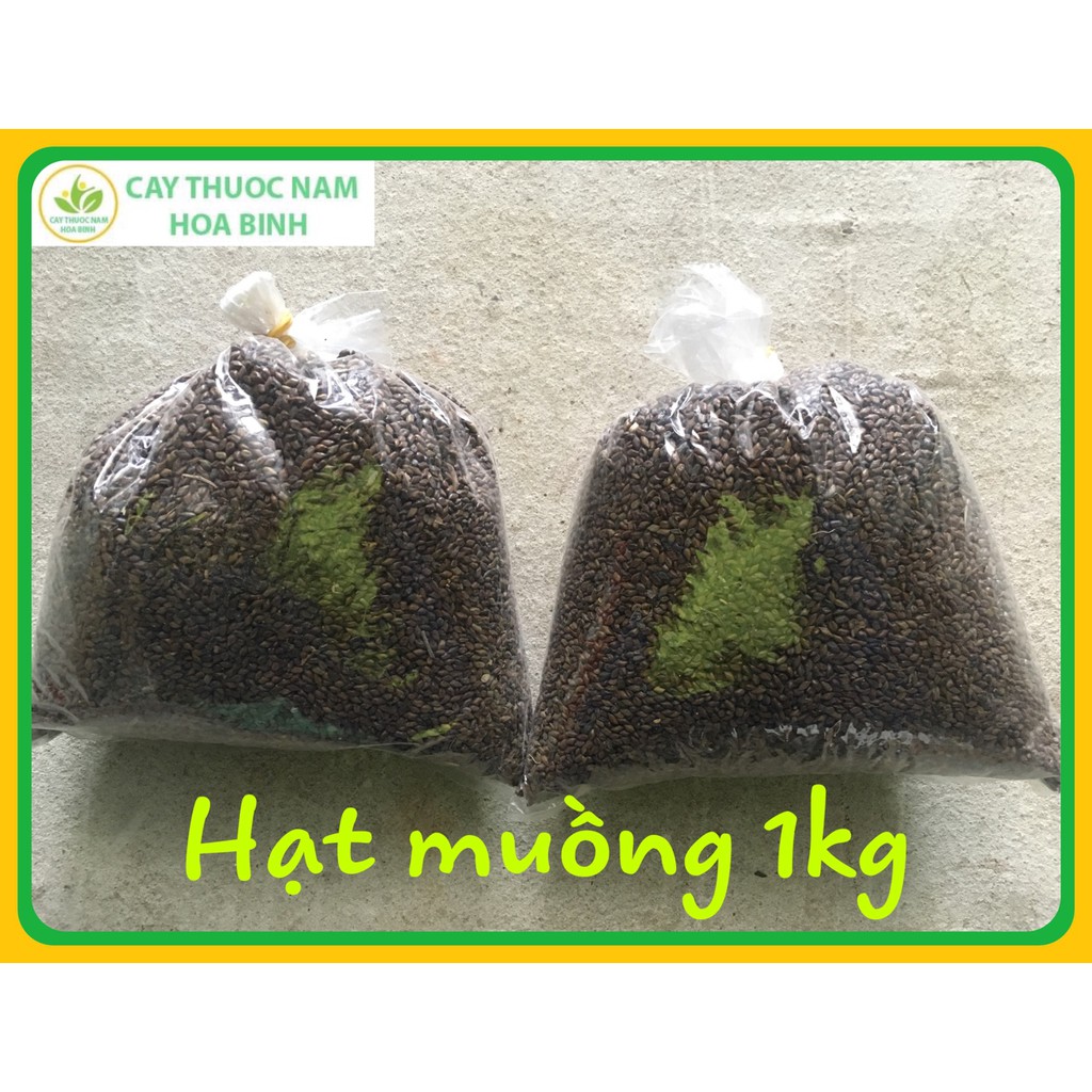 1kg hạt muồng thảo quyết minh khô sạch (chưa sao) | BigBuy360 - bigbuy360.vn