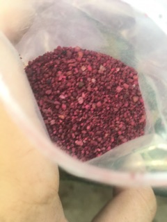 Thuốc tím trị rệp
