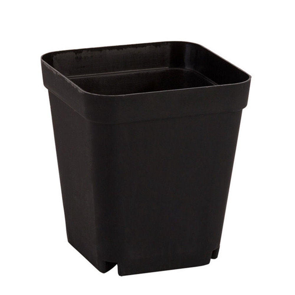 10 Chậu Cây Cảnh Bằng Nhựa Hình Vuông Màu Sắc Ngẫu Nhiên