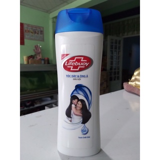 dầu gội  đầu  Lifeboy 320g