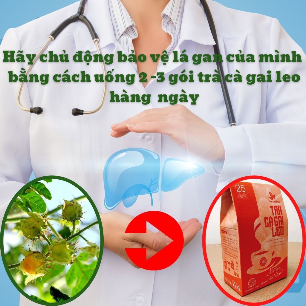 [Combo 05 hộp] Cà Gai Leo Thái Gưng Giải Độc Gan, Hết Mụn Nhọt Mẩn Ngứa