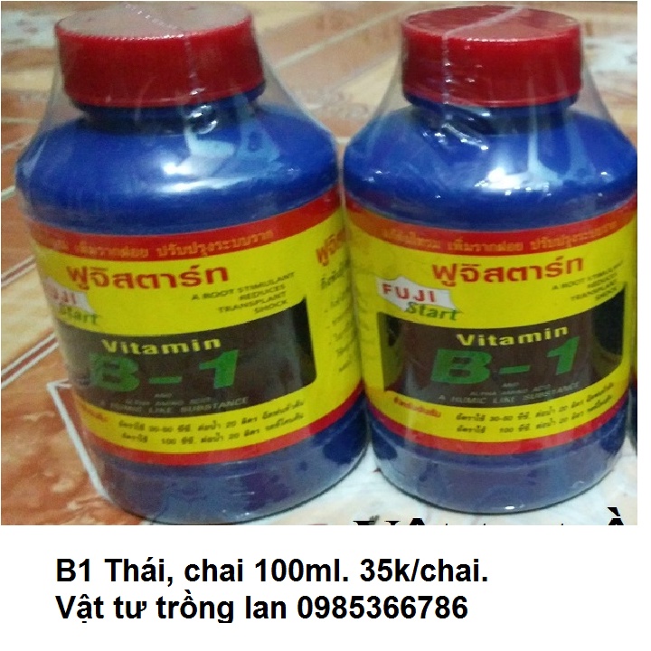 Phân bón lá B1 Thái lan kích thích ra rễ, thúc đẩy cây phát triển, hỗ trợ cây sau đánh chuyển, ngập úng lọ 100ml