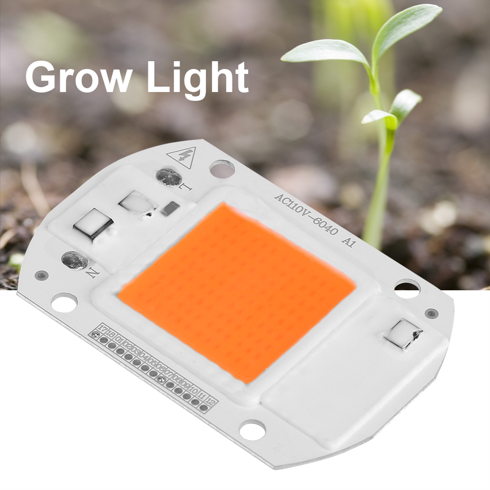Đèn LED COB chip quang phổ hợp cho cây trồng trong vườn