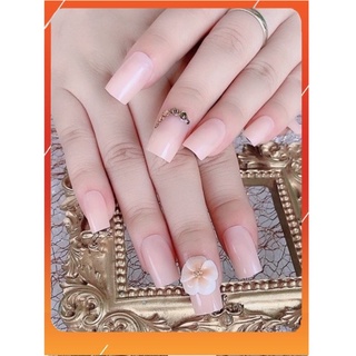 Bộ 24 móng tay giả kèm keo tặng dũa