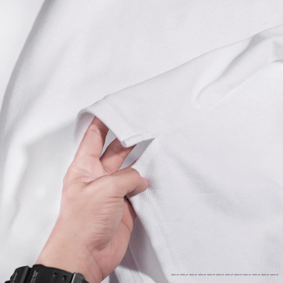 Áo thung nam có cổ thêu gấu nhỏ, Áo POLO Nam thiết kế PLG1 hàng QC | BigBuy360 - bigbuy360.vn