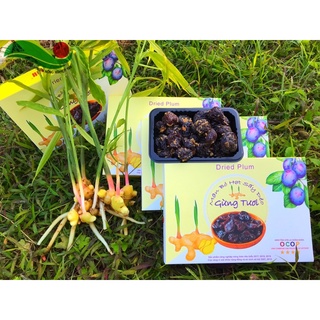  Mận Mộc Châu Bỏ Hạt Sấy Dẻo Gừng Cay Hộp Giấy 240g 