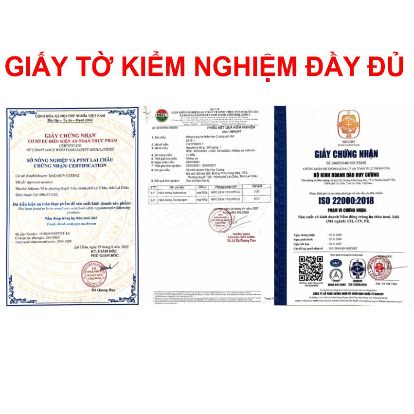Đông trùng hạ thảo sấy thăng hoa NOCOVY, nấm trùng thảo dược chất cao hỗ trợ phục hồi sức khoẻ, tăng đề kháng