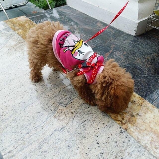 Áo thun Daisy và Donald