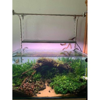 Giá treo đèn inox 304