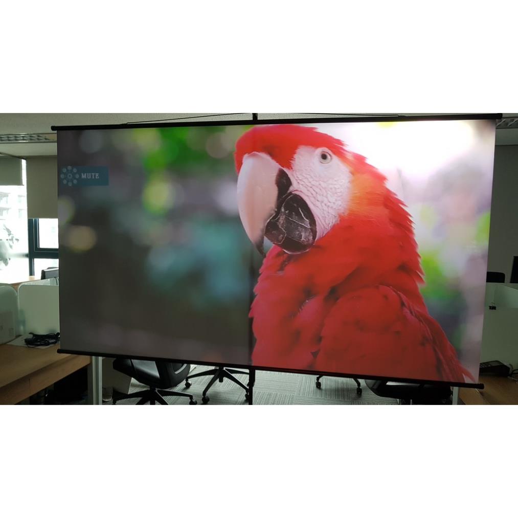 Vải màn chiếu tương phản cao 100 inch