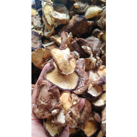 Nấm hương rừng không xiên que 100gr