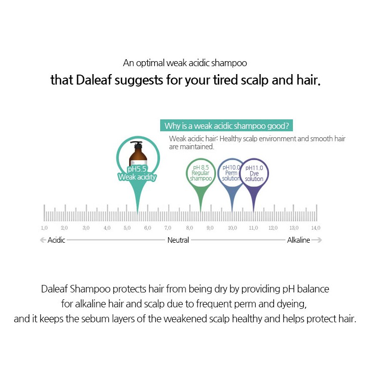 Dầu gội thư giãn DALEAF rễ cây chlorella cao cấp 500ml