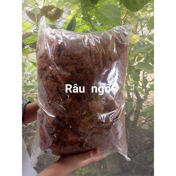 500gr Râu Ngô sạch