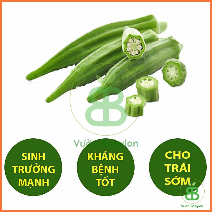 Hạt Giống Đậu Bắp Xanh 20Gr