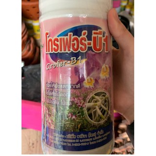 Phân bón kích rễ Vitamin B1 1 lít (Thái Lan)