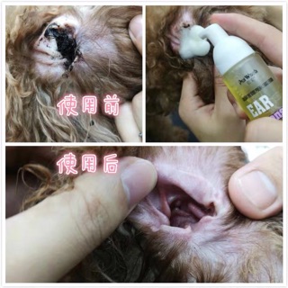 Nước rửa tai chó mèo