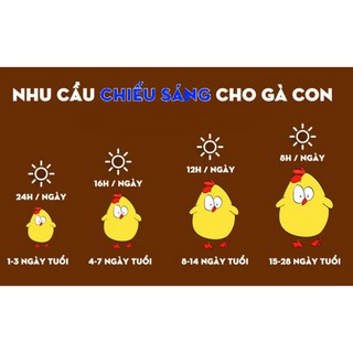Bóng úm Không ánh Sáng