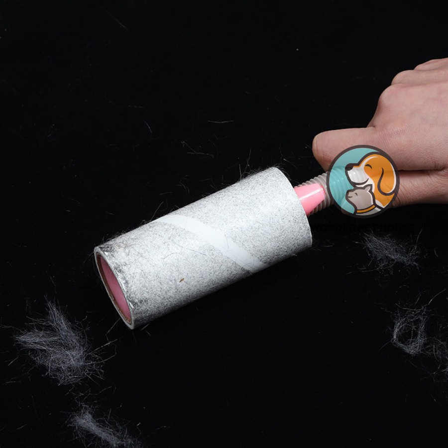 Cây Lăn Bụi Lông Kỳ Lân Dọn Sạch Quần Áo, Ga Giường, Sofa, Lông Chó Mèo