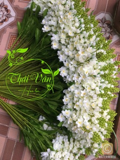 Hoa giả hoa lụa- Cành Hoa Phi Yến 90cm đủ màu ❤️