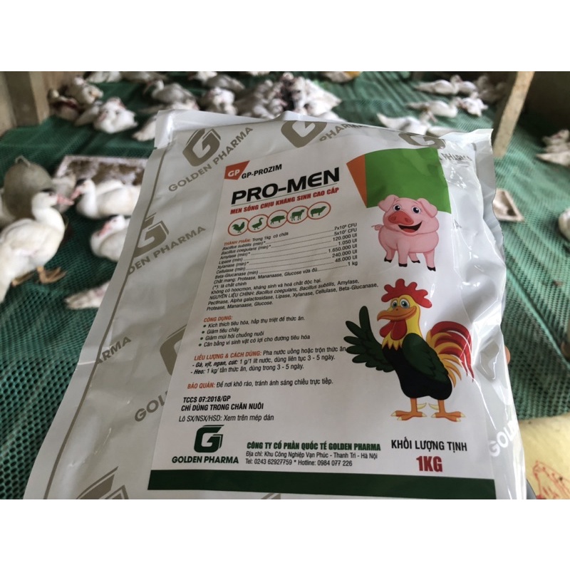 Men sống cao cấp cho vật nuôi  men sống chịu kháng sinh.