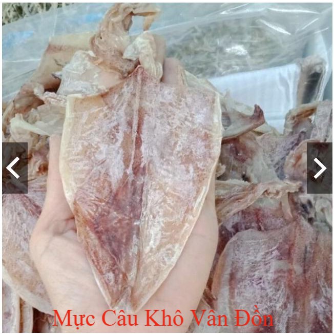 [CỰC NGON NGỌT] Mực Khô Câu Vân Đồn To Bằng 4 Ngón Tay, Chất Lượng