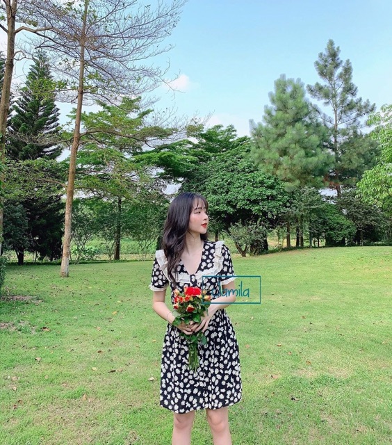 Đầm xoè viền bèo hoa cúc hoạ mi siêu xinh