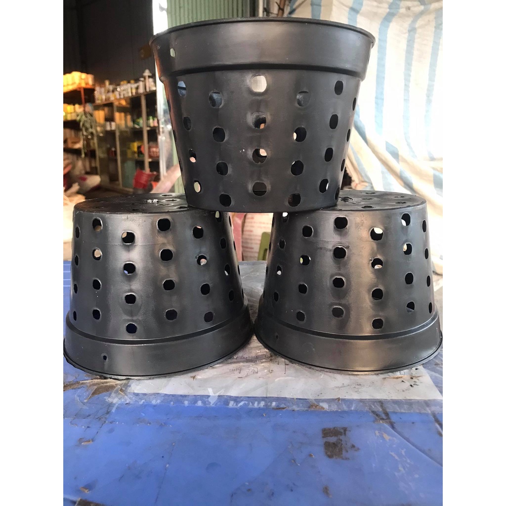 10 Chậu Nhựa Đen Nhiều Lỗ 16 Trồng Hoa Lan, Cây Cảnh