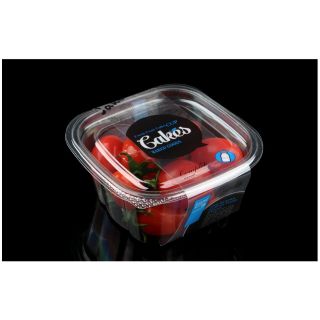 Hộp nhựa B503 đựng bánh phô mai tươi, tiramisu 100 cái