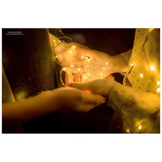 Đèn Fairy Light 5 Mét Đom Đóm Dùng PIN AA (Vàng Nắng)