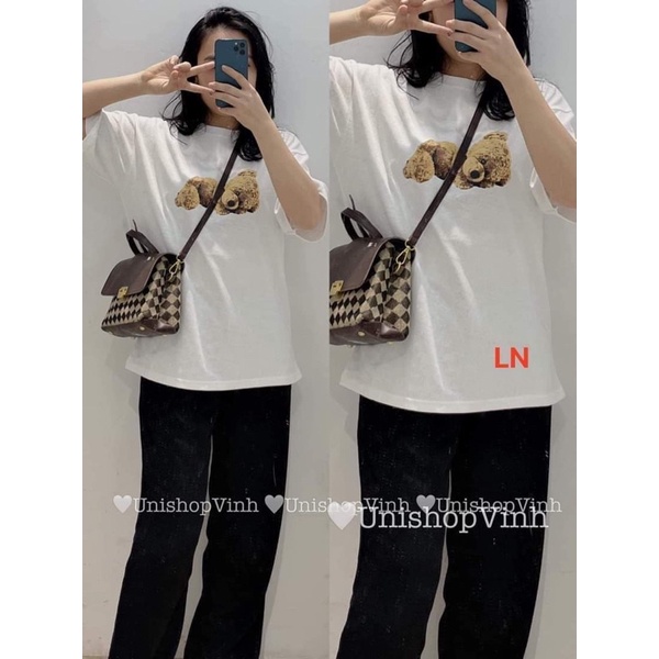 Áo phông gấu vàng nằm DA6