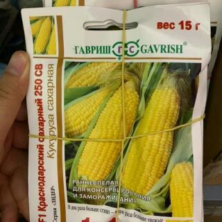 Hạt giống ngô ngọt Nga