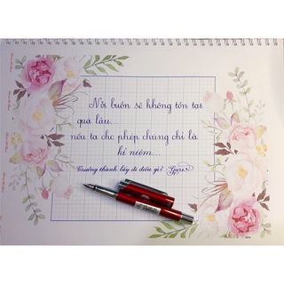 🌼 Bút máy luyện chữ đẹp thầy Ánh SH005