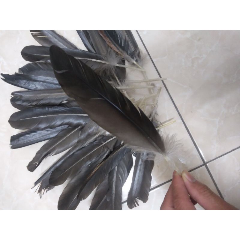 lông gà thông điếu ( combo 20 chiếc ) | BigBuy360 - bigbuy360.vn